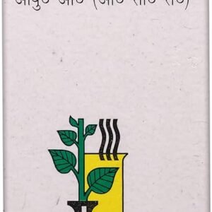Baidyanath (Noida) Tamra Sindoor Powder 2.5gm