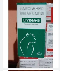 LIVEGA - B