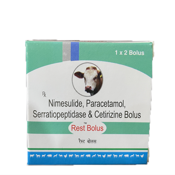 Rest Bolus