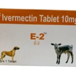 E-2