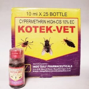 Kotek vet